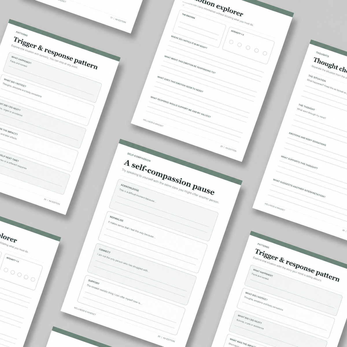 The Digital Mental Health Planner